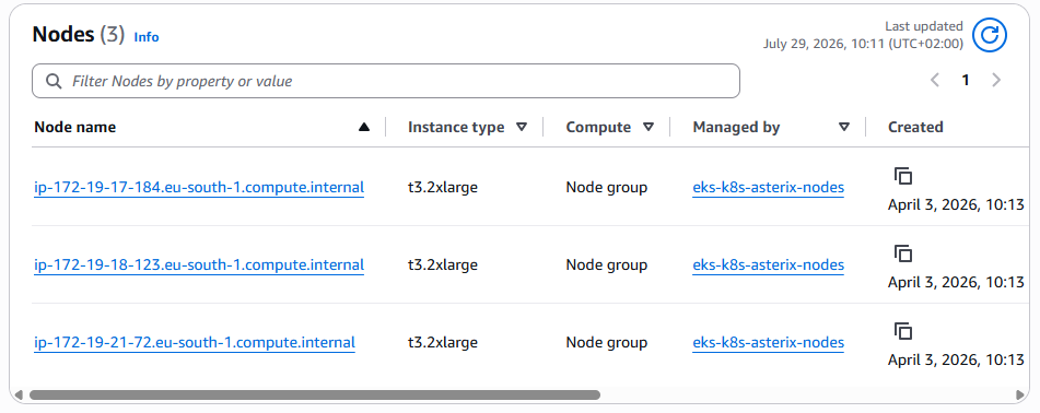 Nodes in the EKS cluster